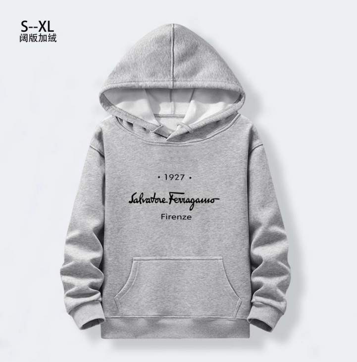 Picture of Ferragamo Hoodies _SKUFerragamoS-XL1qx023096